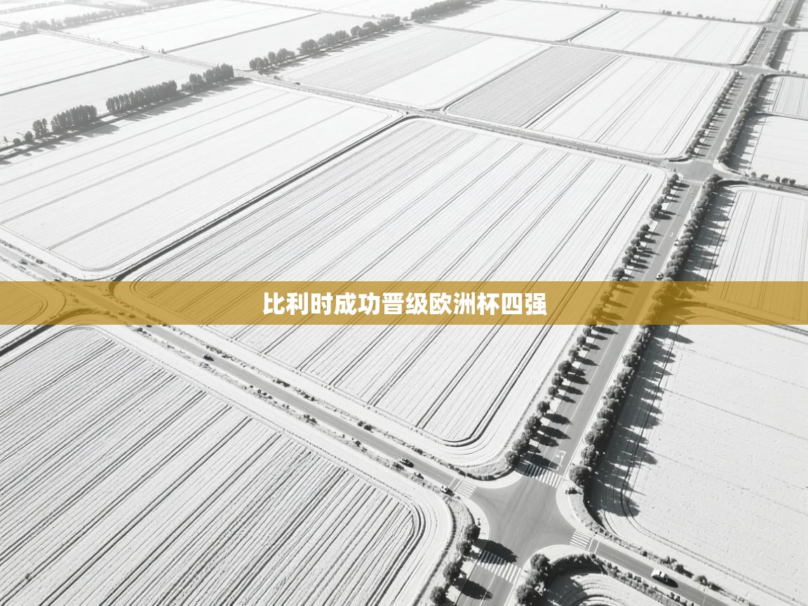 比利时成功晋级欧洲杯四强  第1张