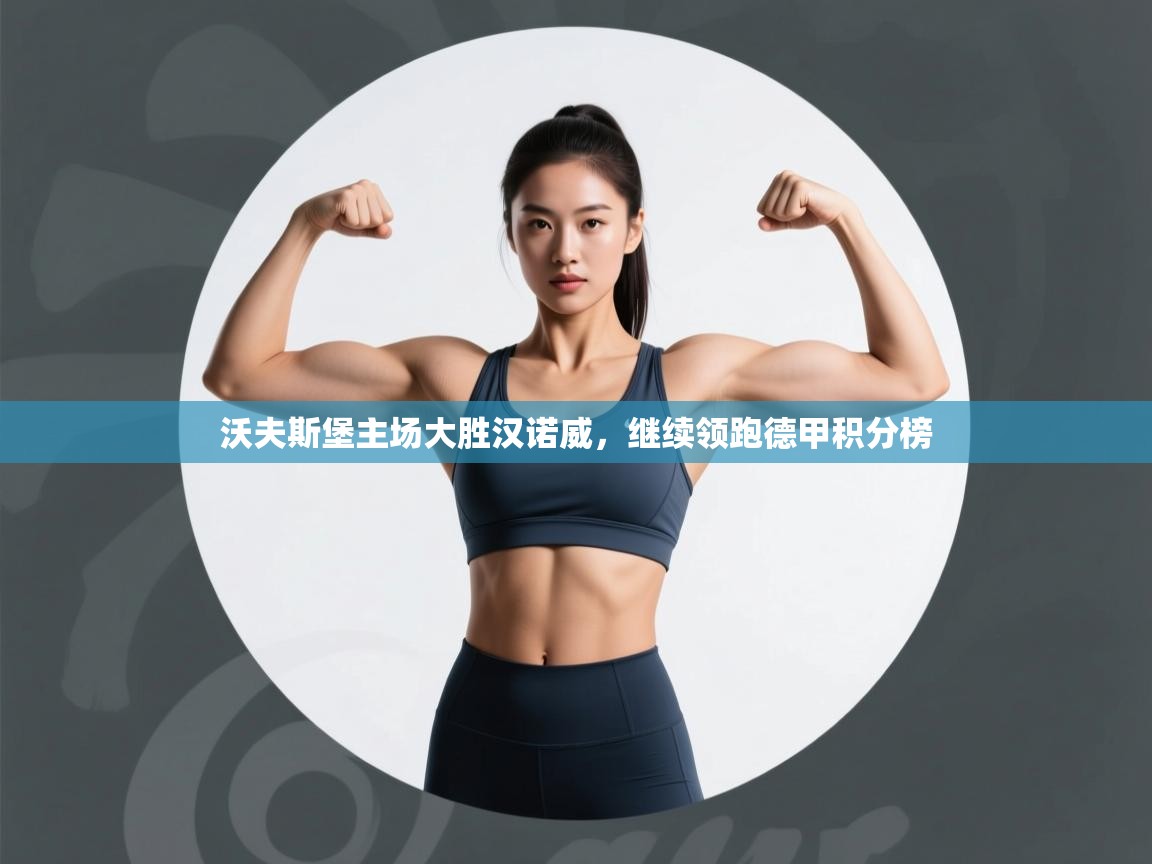 沃夫斯堡主场大胜汉诺威,继续领跑德甲积分榜 第1张